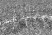 Descubren dos extraordinarios fósiles de 508 millones de años que aún conservan el sistema nervioso central