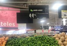 Llega el limón a 100 pesos el kilo
