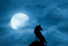 ¿Cuándo y a qué hora ver la Luna de lobo, primera Luna llena de 2022?