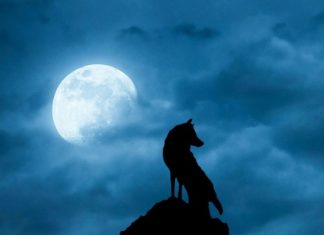 ¿Cuándo y a qué hora ver la Luna de lobo, primera Luna llena de 2022?