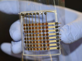 Investigadores desarrollan la primera pantalla flexible OLED del mundo totalmente impresa en 3D (VIDEO)