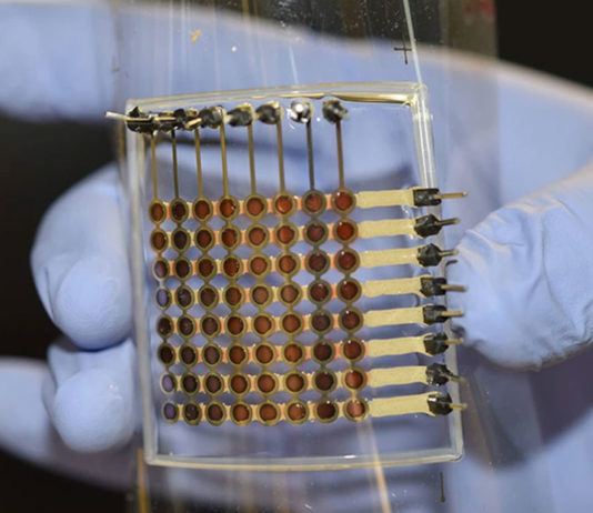 Investigadores desarrollan la primera pantalla flexible OLED del mundo totalmente impresa en 3D (VIDEO)