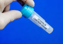 “Trayectoria evolutiva entre especies”: científicos chinos ofrecen su versión sobre el origen de ómicron