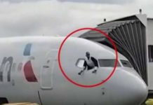 Pasajero invadió cabina de avión, dañó controles de vuelo… y salió libre