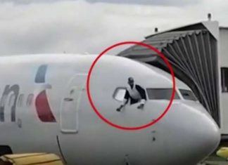 Pasajero invadió cabina de avión, dañó controles de vuelo… y salió libre