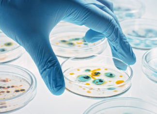 La resistencia a los antibióticos ya mata más que el sida y la malaria