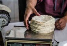 Tortilla subirá a lo largo del 2022