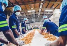 De 48 mil desempleados, tres mil lograr encontrar trabajo en el 2021