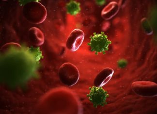 Investigadores dan un paso más hacia las comprensión del fenómeno de inmunidad al VIH