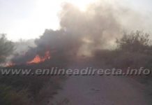 A la alza incendios en predios baldíos