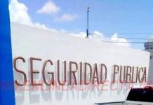 “Solitario” ratero asaltó a transeúnte y se lleva sus pertenencias