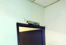 Arrestan a sujeto por escandalizar y alterar el orden
