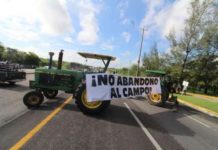 Campesinos abandonan sus tierras por ser improductivas