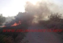 Bomberos acuden a sofocar incendio a predio