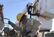 CFE rescatan a “Bengy” gatito atrapado