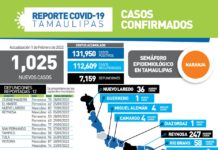 SST confirmó 1025 positivos y 12 fallecimientos