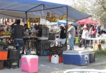 Tianguis apoyan economía familia en Pandemia