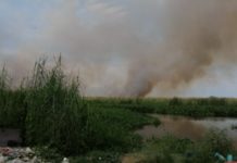 Analizan reubicar cuartel de bomberos