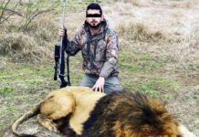 Investigan a joven tamaulipeco que cazó a un león