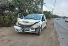 Taxista choca contra venado en Altamira