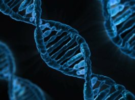 Científicos descubren un virus de 268 millones años presente en el ADN de los humanos