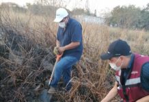 Investigan conato de incendio con fertilizante enterrado