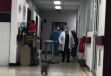 “Se hicieron trabajos al vapor en hospital del ISSSTE con los 20 millones de pesos del premio”: Daniel Martínez