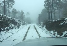 Cea nieve en Miquihuana, victorenses admiran el paisaje