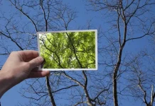 7 formas de entrenar el optimismo y sentirnos mejor aunque el panorama sea sombrío