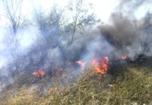 Bomberos atienden incendio en La Presa