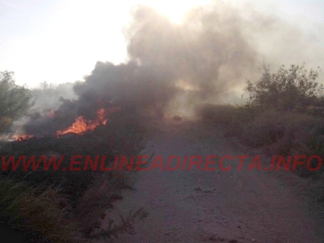 Bomberos atienden llamados de incendio dejando daños y una persona lesionada