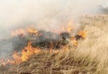 Bomberos siguen sofocando incendios en predios y pastizales