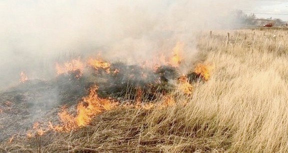 Bomberos siguen sofocando incendios en predios y pastizales