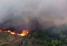 Bomberos sofocan incendio en predio