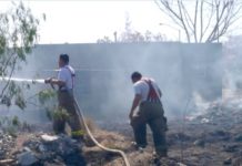 Bomberos sofocan incendios en pastizales y baldíos