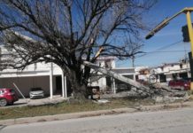 Cámaras permanecen derribadas en vía publica