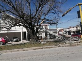 Cámaras permanecen derribadas en vía publica