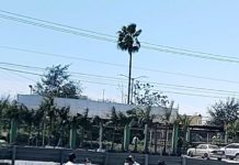 Chocan unidades y dejan daños materiales en concurrida carretera