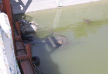 Contaminan afluente de agua de Reynosa