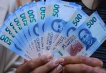 Demanda CEAT más presupuesto a la federación