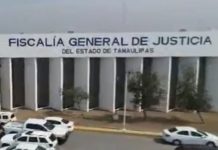 Cultura de la denuncia es una necesidad social contra la impunidad