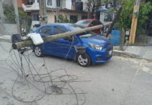 Violento norte provocó caída de árboles y daño cableado elèctrico en Tampico