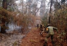 Se suma el ejército a la labor para controlar incendio en Gómez Farías