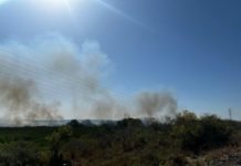 Incendios son causados por quema de basura o alambre: Bomberos