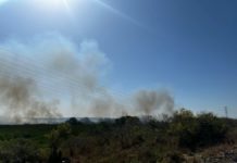 Familias de zona norte de Madero piden sanciones severas a causantes de incendio