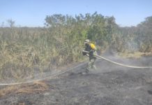 Ejército Mexicano apoya para controlar el incendio registrado en el municipio de Madero