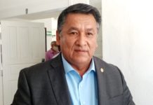 Necesario impedir más capital extranjero en CFE.