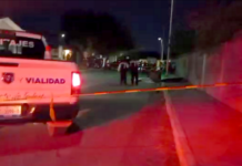 Impacta pesada unidad a elotero y muere en la vía pública