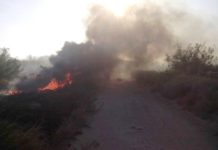 Imparables los incendios en predios baldíos y pastizales