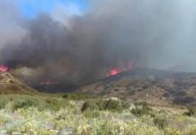 Incendios siguen dejando daños y contaminación ambiental